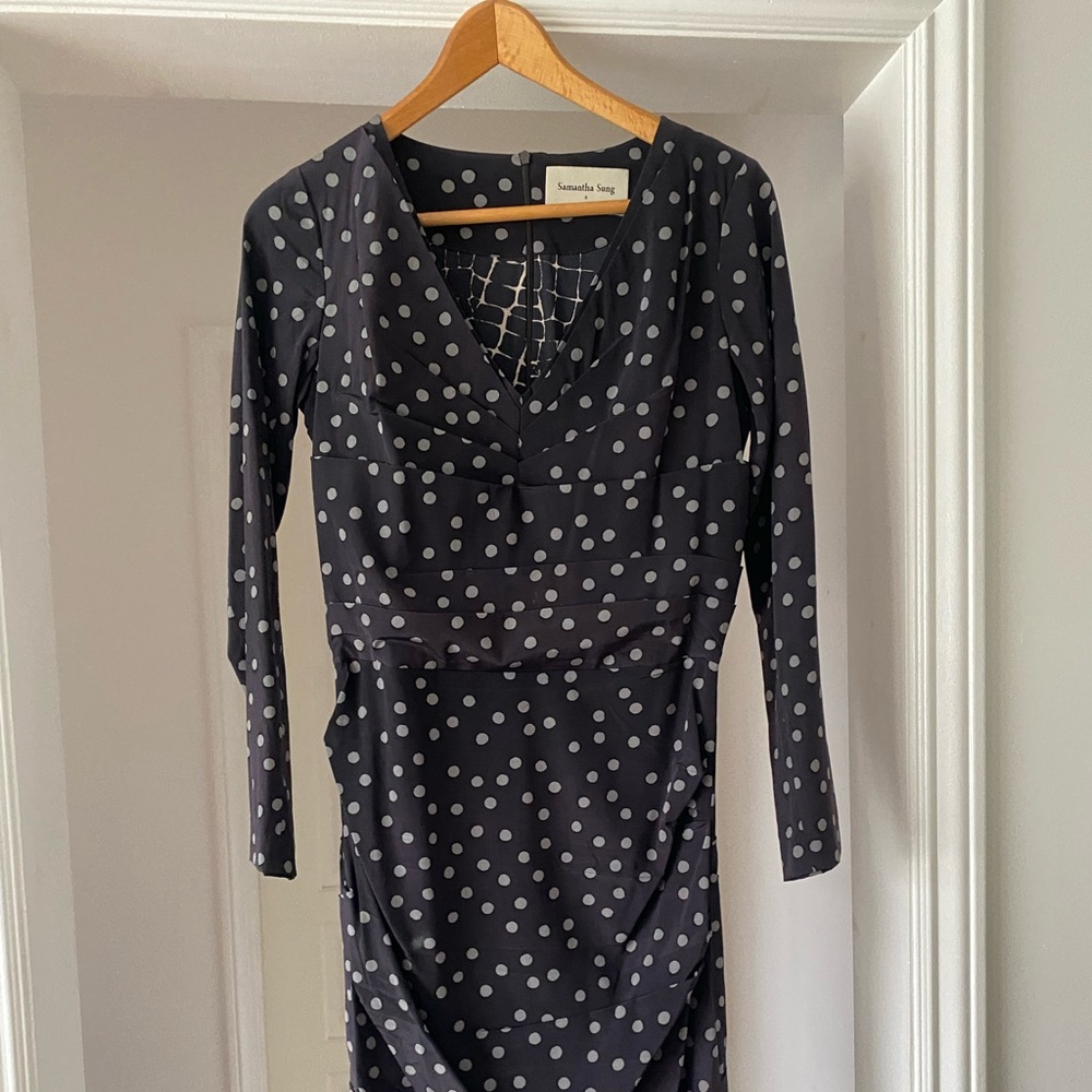 Samantha Song 100% silk long sleeve and knee length sheath dress